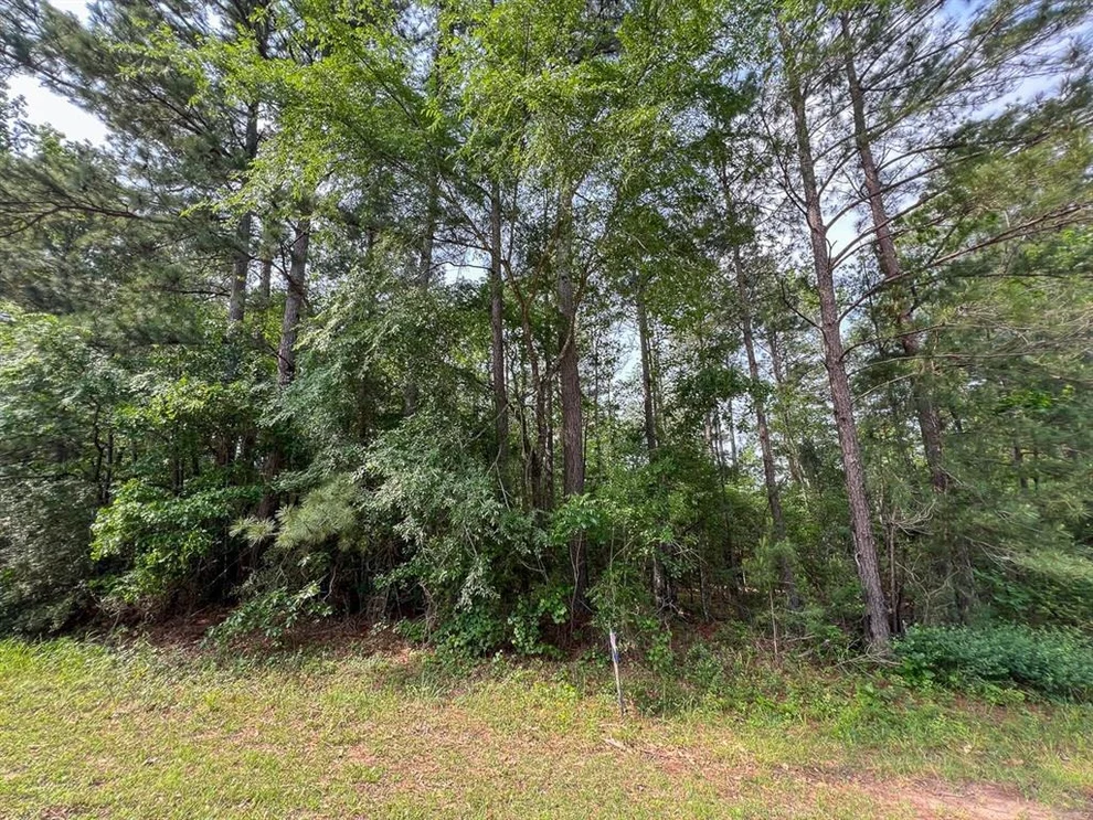 Unit for sale at TBD Westwood Drive, Huntsville, TX 77320