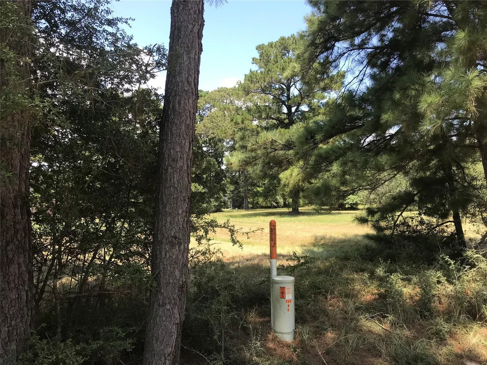 Unit for sale at 12 Cedar Springs, Trinity, TX 75862