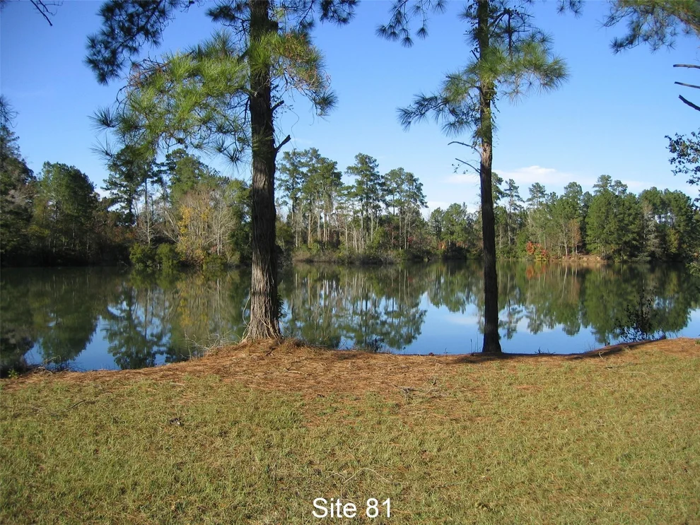 Unit for sale at 81 Pine Meadow, Cleveland, TX 77327
