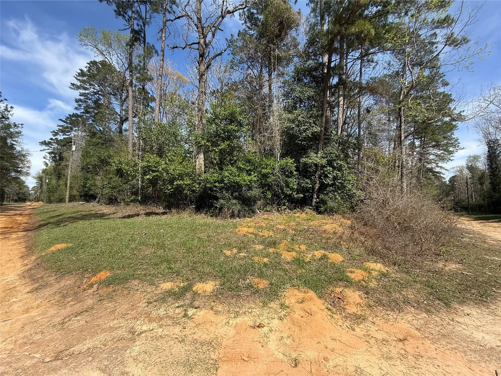 Unit for sale at TBD Glenn Barber Road, Livingston, TX 77351