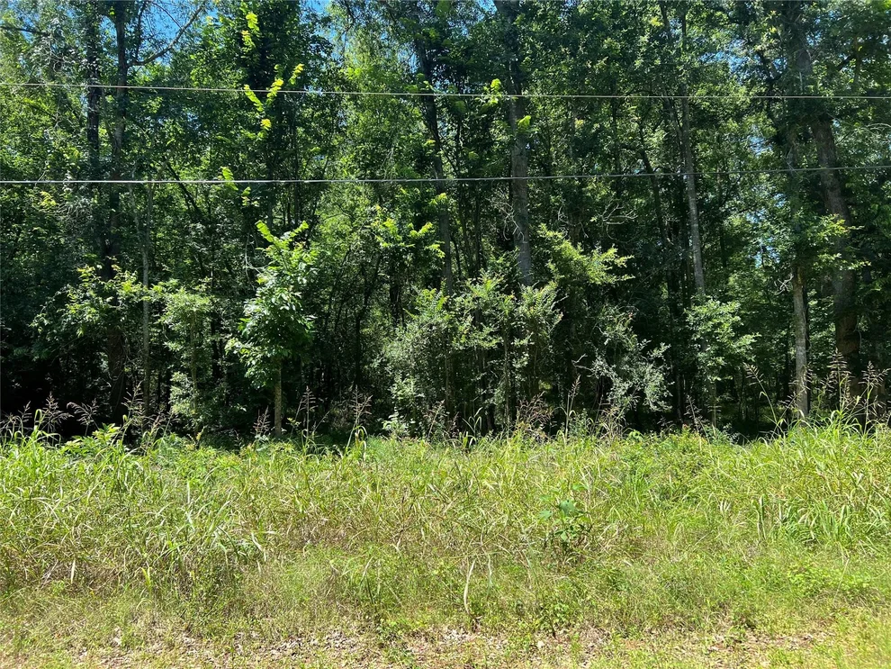 Unit for sale at 000 Holt Street, Coldspring, TX 77331