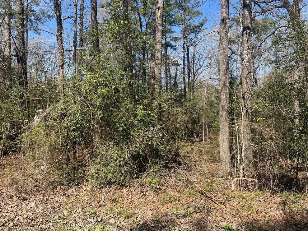 Unit for sale at 3-229 Meridian, Livingston, TX 77351