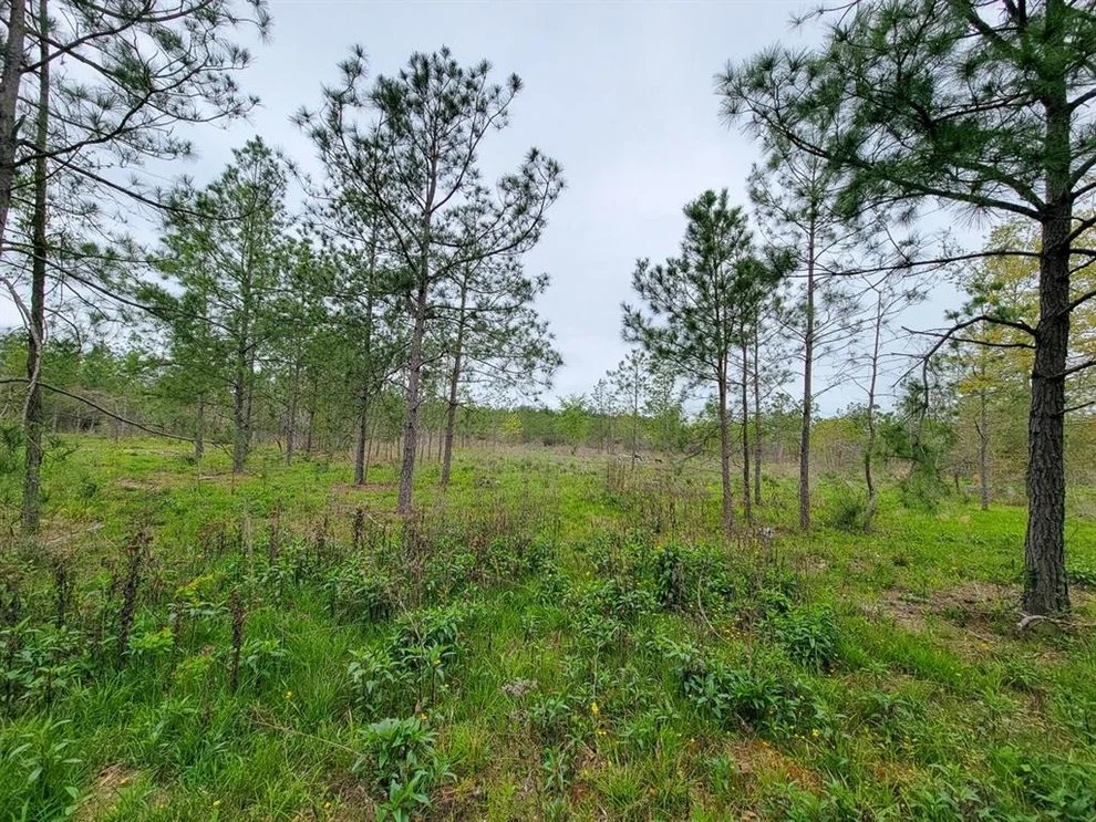 Unit for sale at 02 County Road 3375, Lovelady, TX 75851