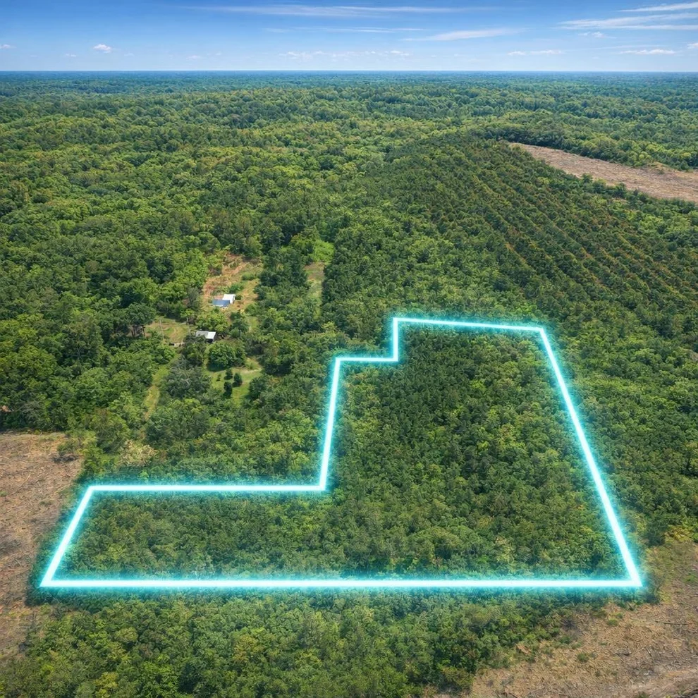 Unit for sale at 12.079AC Private Road 7630, Call, TX 75933