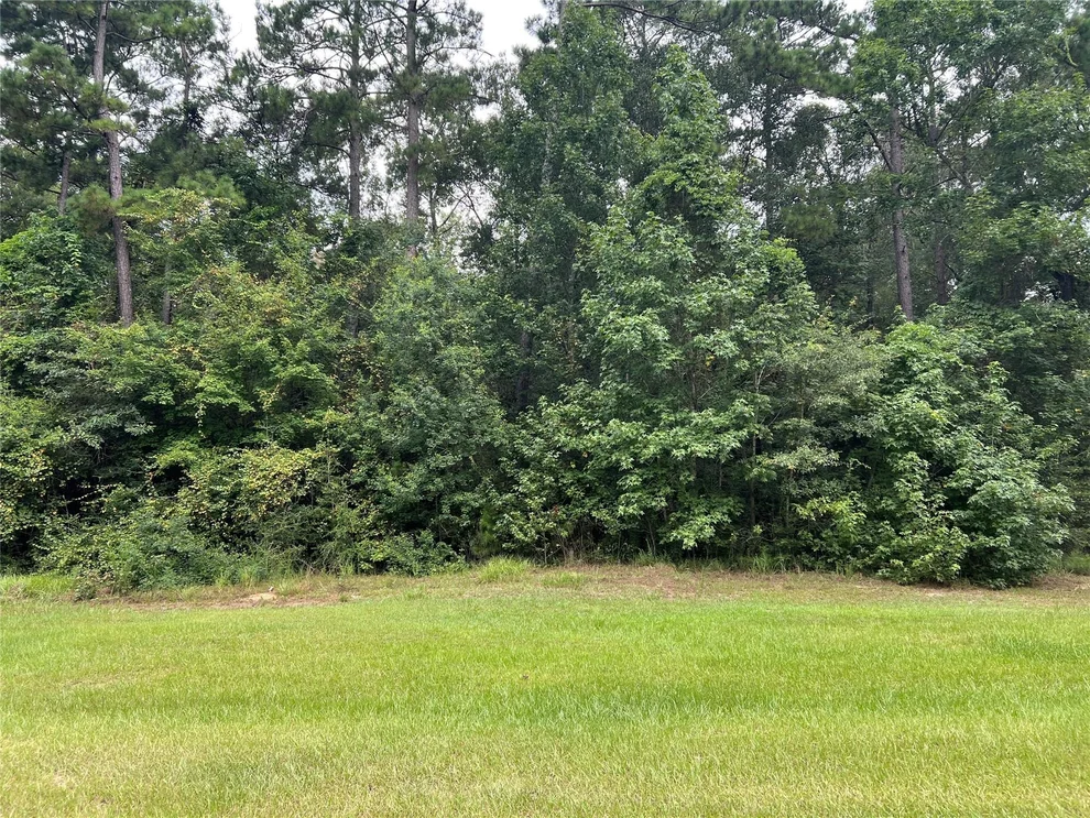 Unit for sale at TBD Lure Lane, Livingston, TX 77351