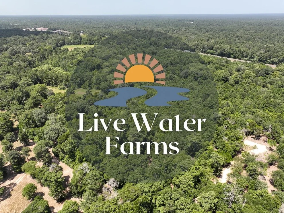 Unit for sale at S1L2 Lake Pool Rd, Shepherd, TX 77371