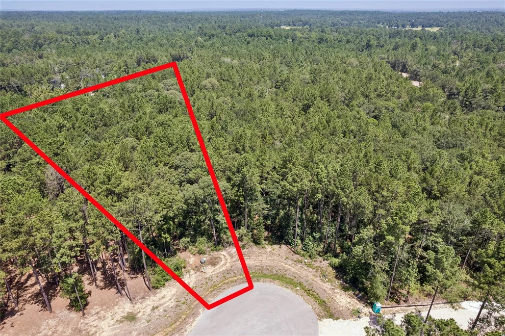Unit for sale at 25316 High Meadow Drive W, Montgomery, TX 77316