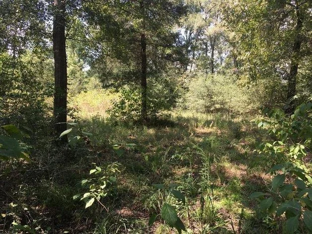 Unit for sale at 737 Cut Rd, Crockett, TX 75835