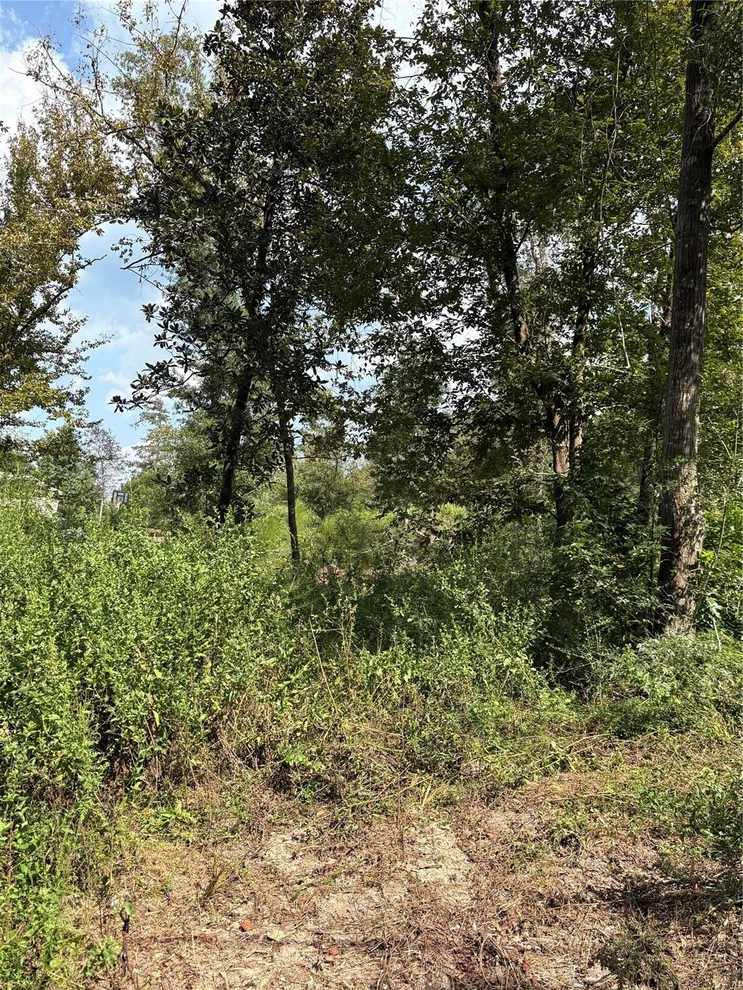 Unit for sale at TBD Walnut Ridge Road, Livingston, TX 77351