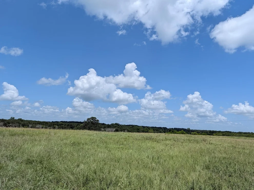 Unit for sale at 0011 County Road 115, Bedias, TX 77831