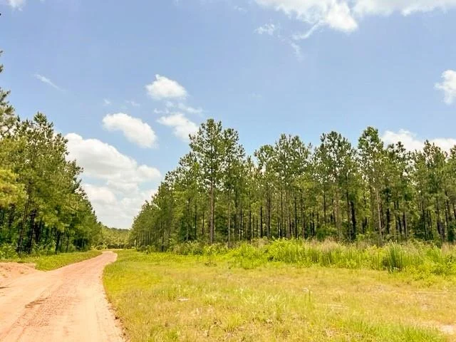 Unit for sale at 000 County Road 1425, Warren, TX 75979