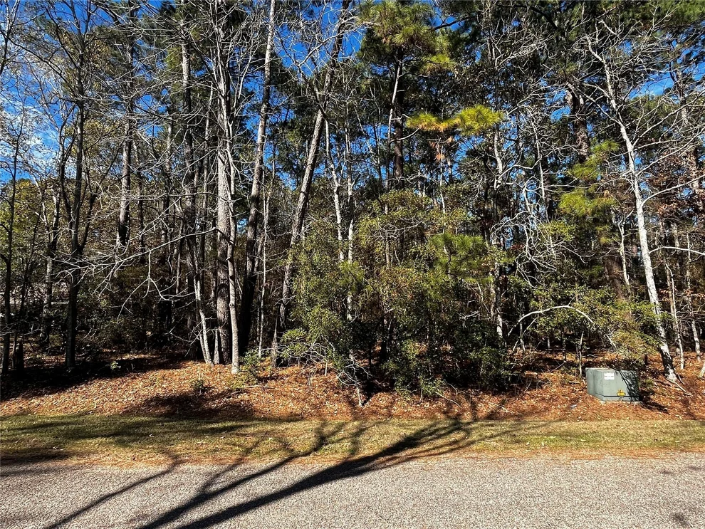Unit for sale at 10 Wentworth Lane, Coldspring, TX 77331
