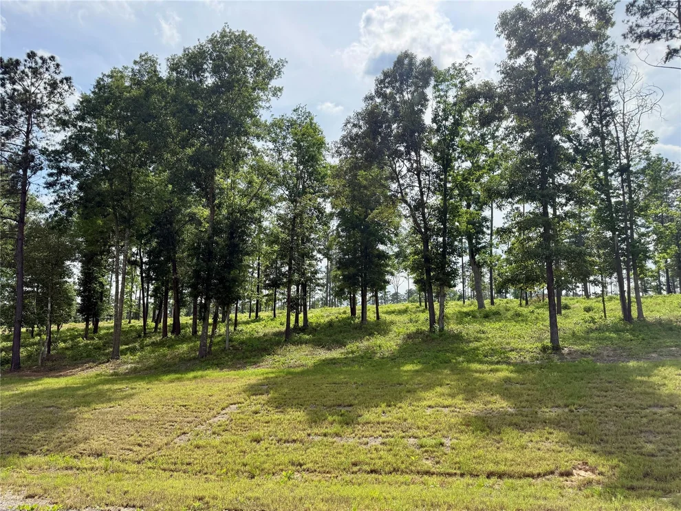 Unit for sale at Lot 72 Western Road, Livingston, TX 77351