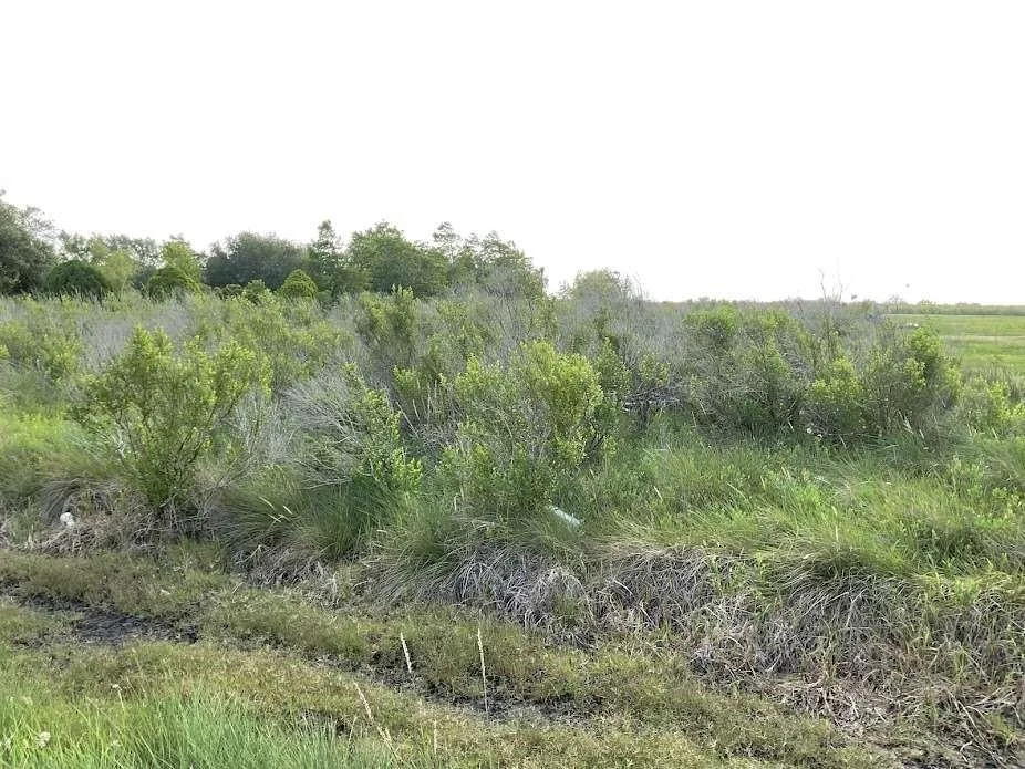 Unit for sale at 0 County Road 595, Angleton, TX 77515