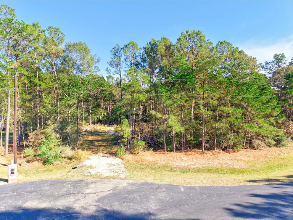 Unit for sale at 17539 Julianne Drive, Waller, TX 77484