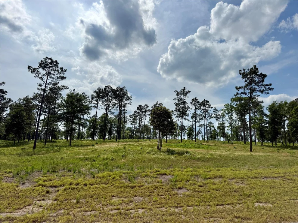 Unit for sale at Lot 74 Western Road, Livingston, TX 77351