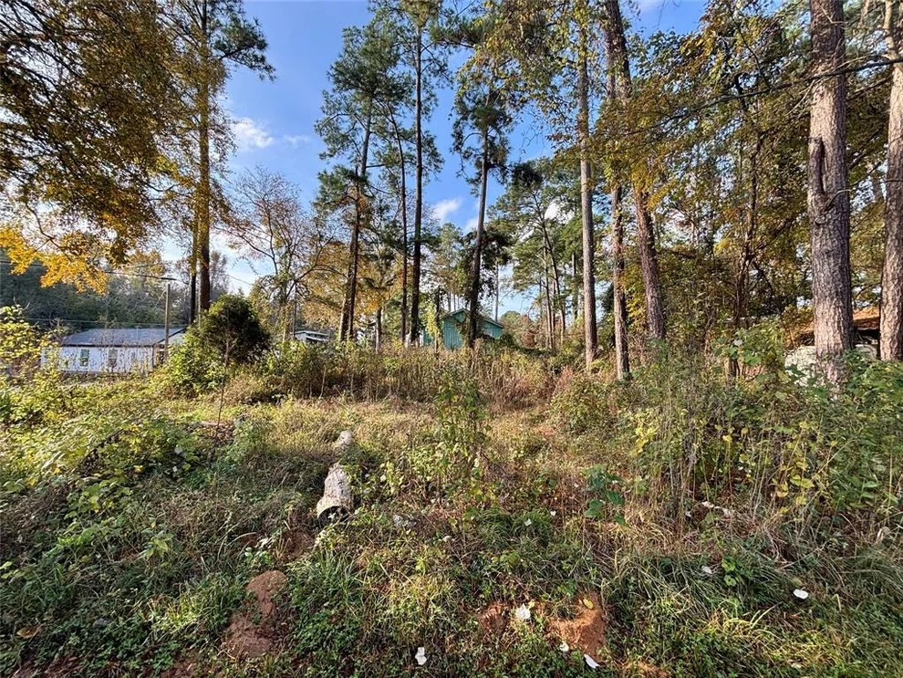 Unit for sale at Lot 1 Walkwood Drive, Willis, TX 77318