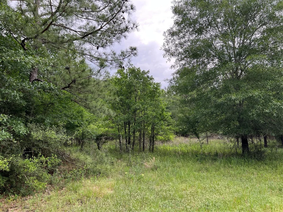 Unit for sale at 0019 English Rd Road, Bedias, TX 77831