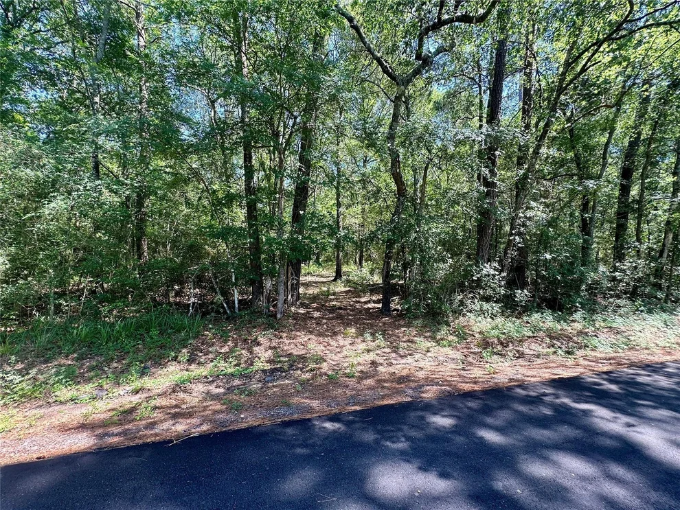 Unit for sale at 0 Taliaferro Road, Richards, TX 77873