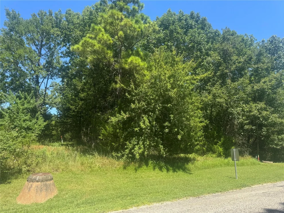Unit for sale at TBD N Forest Cove Loop, Coldspring, TX 77331