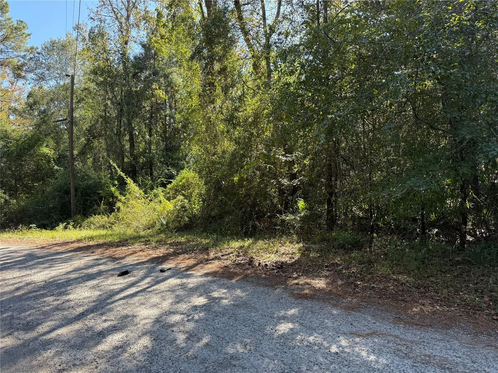 Unit for sale at TBD Walnut Dr, Conroe, TX 77302