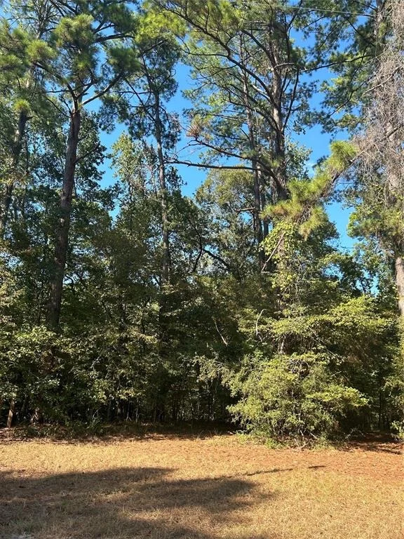 Unit for sale at 545556 Grand Pine Circle, Livingston, TX 77351