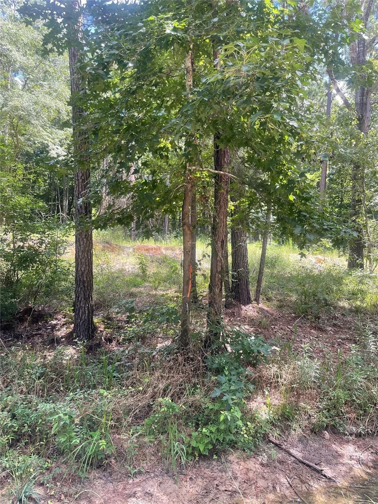 Unit for sale at 70 Tall Timbers Trail, Coldspring, TX 77331