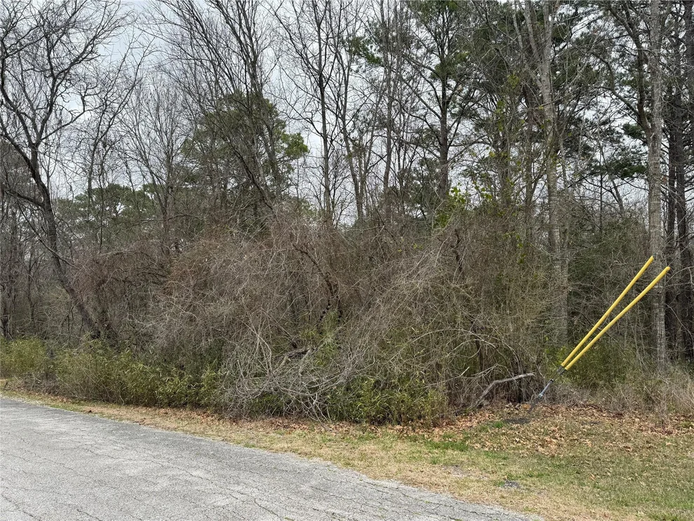 Unit for sale at 2 Clearwater Circle, Coldspring, TX 77331