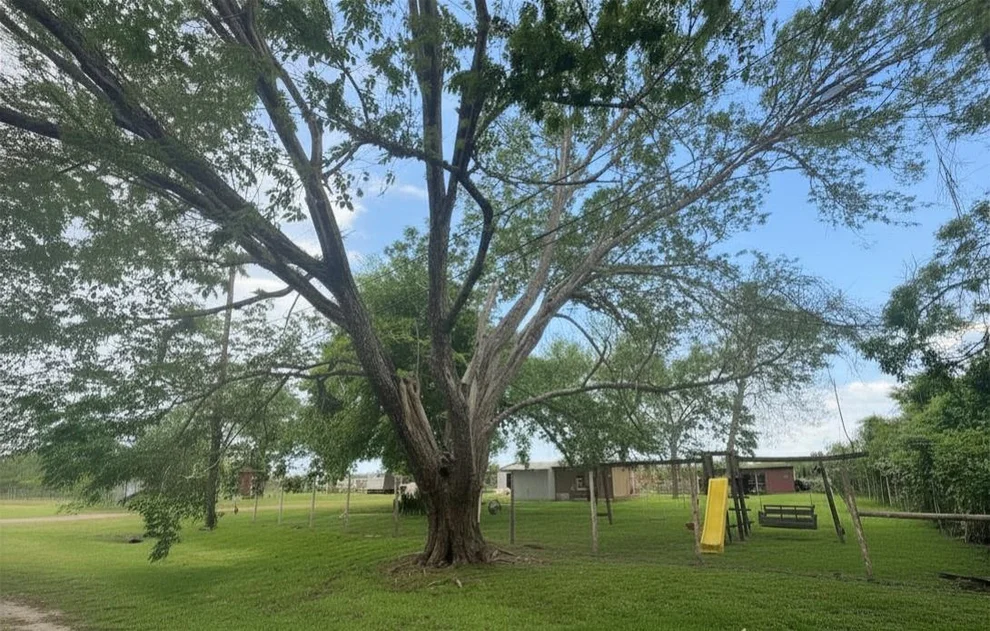 Unit for sale at 8925 Spruce Street, Hitchcock, TX 77563