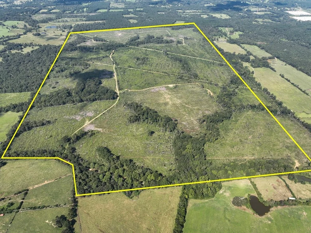 Unit for sale at 1 County Road 4916, Timpson, TX 75975