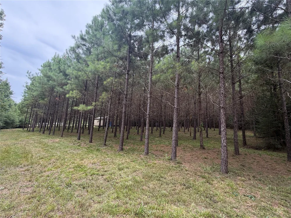 Unit for sale at 00 Cody Road, Livingston, TX 77351