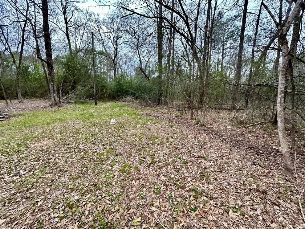 Unit for sale at TBD Bluebonnet Drive, Onalaska, TX 77360