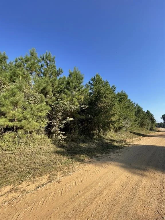 Unit for sale at TBD County Road 546 Road, Nacogdoches, TX 75961