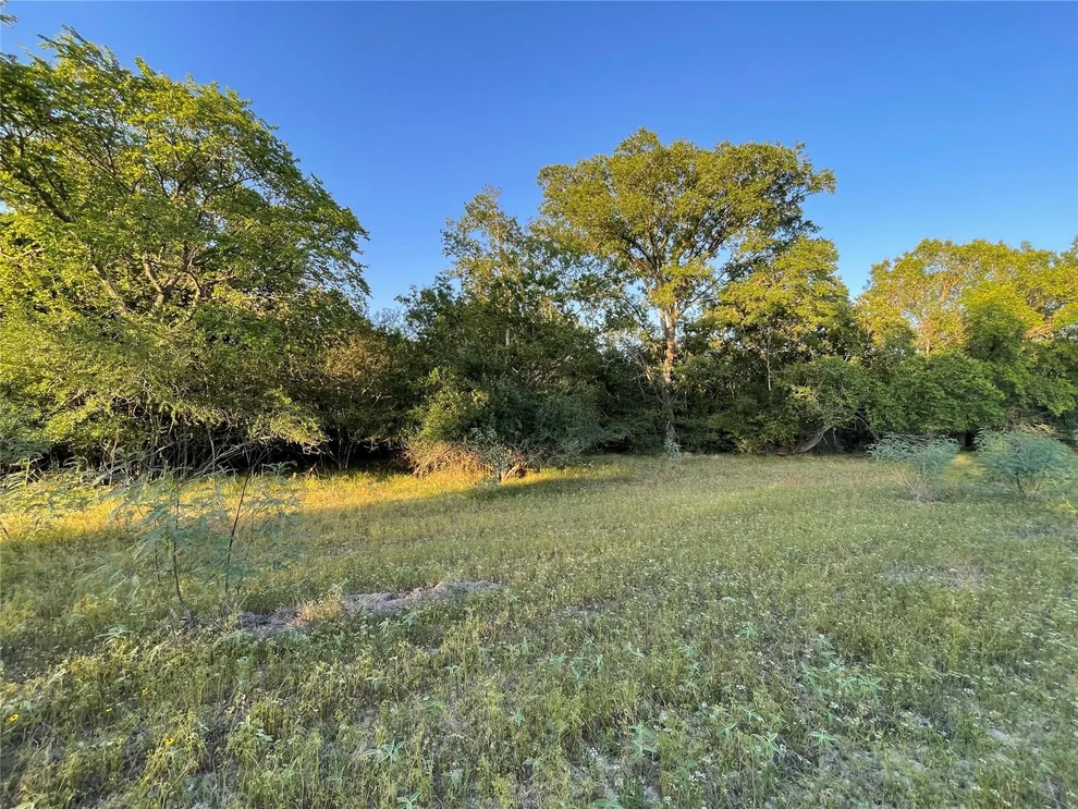 Unit for sale at 0 Mule Creek Road, Harwood, TX 78632