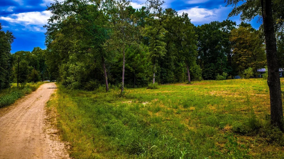 Unit for sale at TBD Forest Drive, Livingston, TX 77351