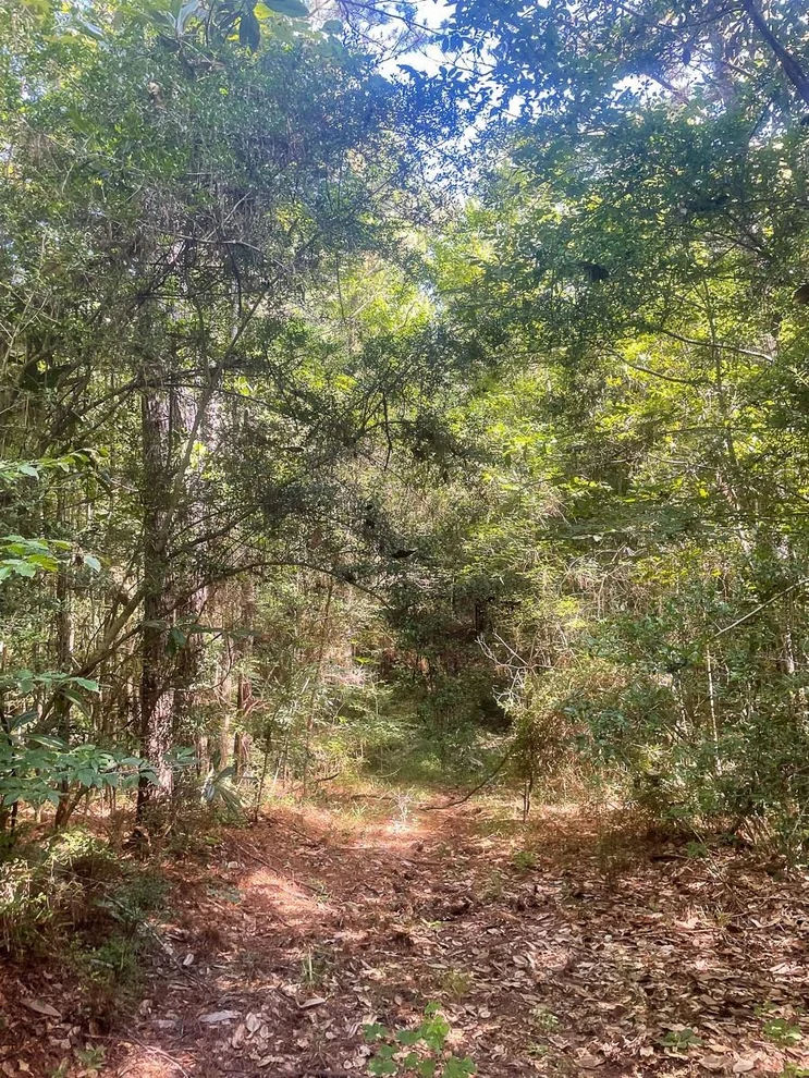 Unit for sale at 0 Fm 1414, Burkeville, TX 75932