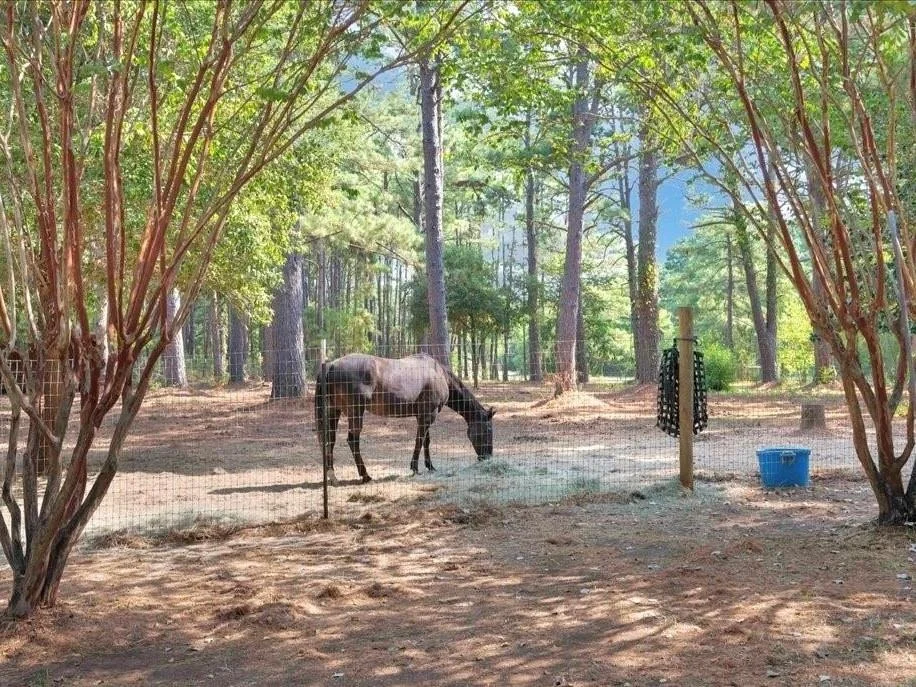 Unit for sale at 338 County Road 2041, Nacogdoches, TX 75965