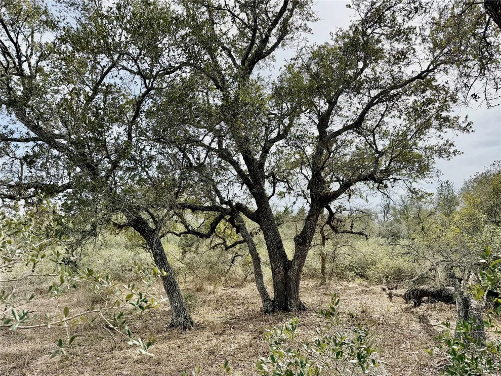 Unit for sale at 19.88 acres Friar Road, Cuero, TX 77954