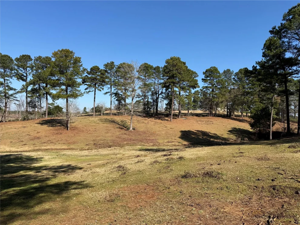 Unit for sale at 3984 County Road 3100, San Augustine, TX 75972