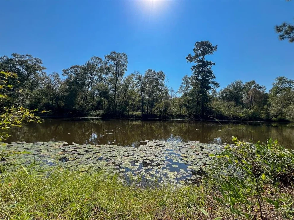 Unit for sale at 1 Off County Road 2925, Weches, TX 75844