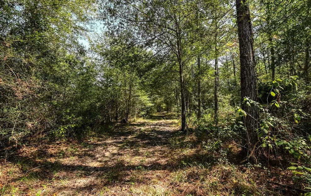 Unit for sale at 0 Hwy 105, Hull, TX 77564