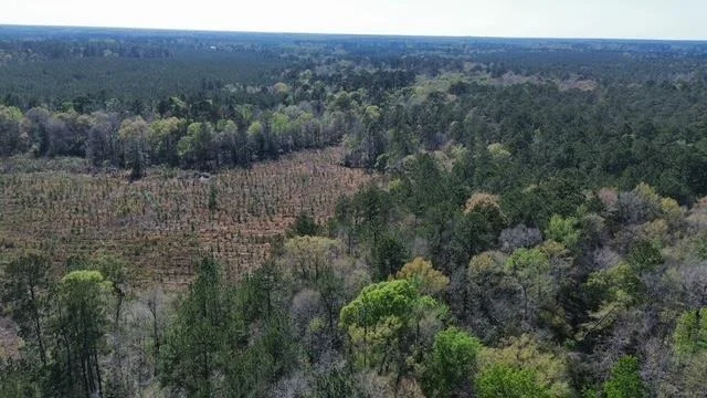 Unit for sale at 16332 Highway 96 S, Kirbyville, TX 75956