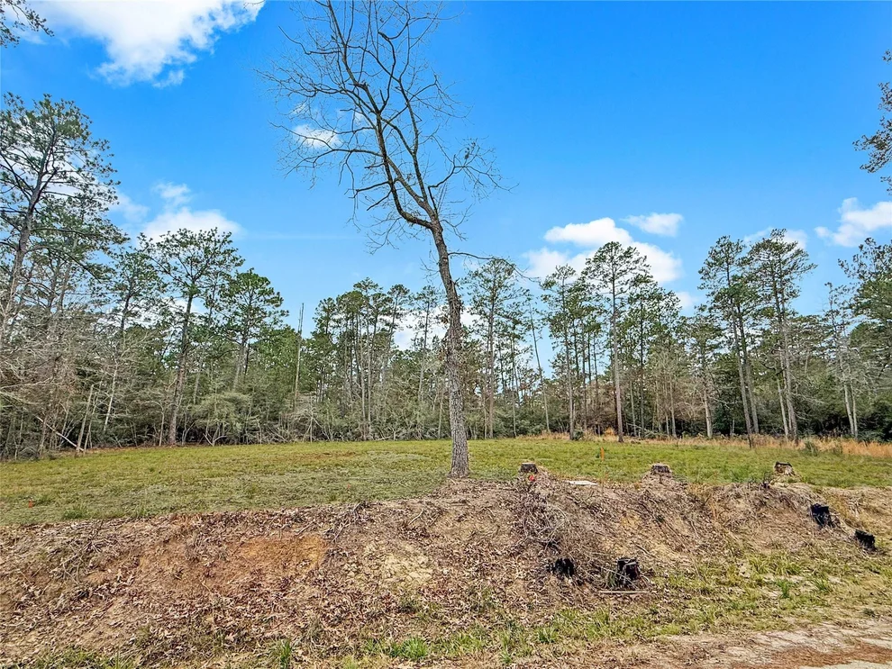 Unit for sale at 252 & 253 Amblewood Drive, Brookeland, TX 75931