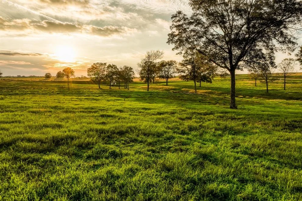 Unit for sale at TBD Sunshine Lot 13 Court, Chappell Hill, TX 77426