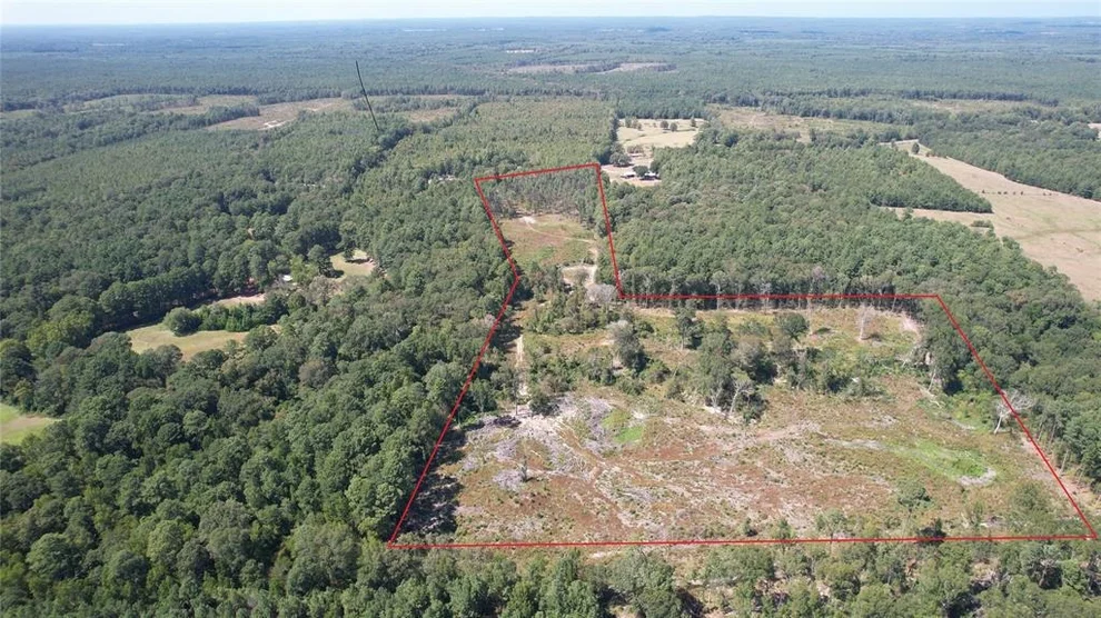Unit for sale at 0 Plainview Road, Pineland, TX 75968