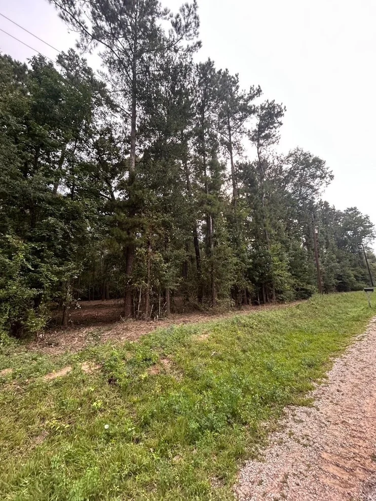 Unit for sale at 0 Wonderland Drive, Shepherd, TX 77371