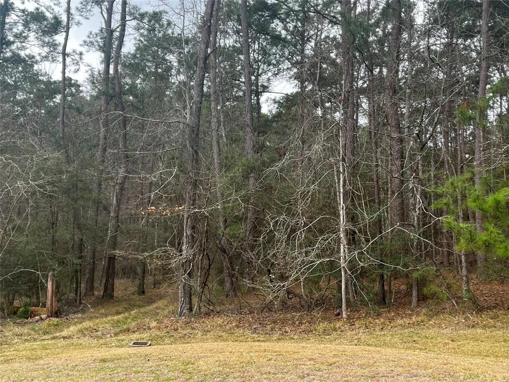 Unit for sale at 46 S Royale Greens Drive, Coldspring, TX 77331
