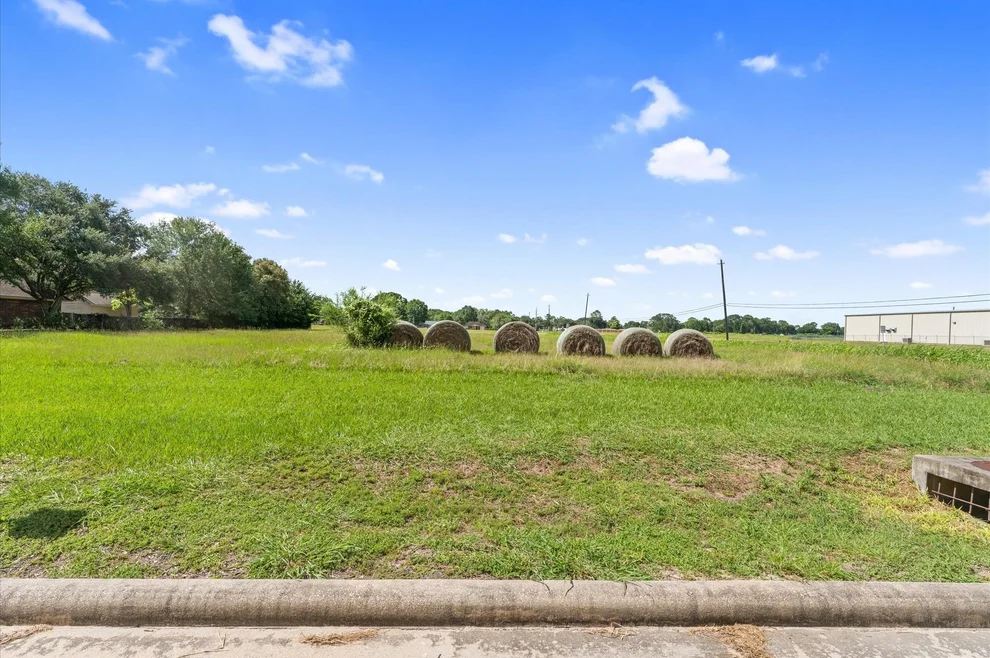 Unit for sale at 0 Bamore Road, Rosenberg, TX 77471