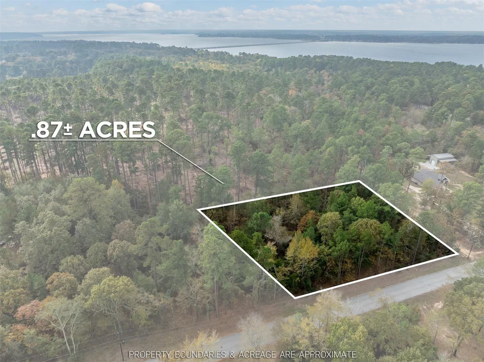 Unit for sale at Lot 11 Pintail Drive, Flint, TX 75762