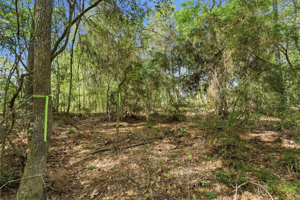 Unit for sale at 19909 Big Oak Drive, Montgomery, TX 77356